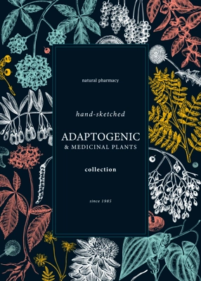 Botanical card design with hand-sketched adaptogenic and medicinal herbs, weeds, berries, leaves. Adaptogenic plants vector illustration on . Perfect for label, packaging, banner.